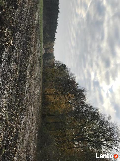 Działki budowlane, Mielno k. Pakości