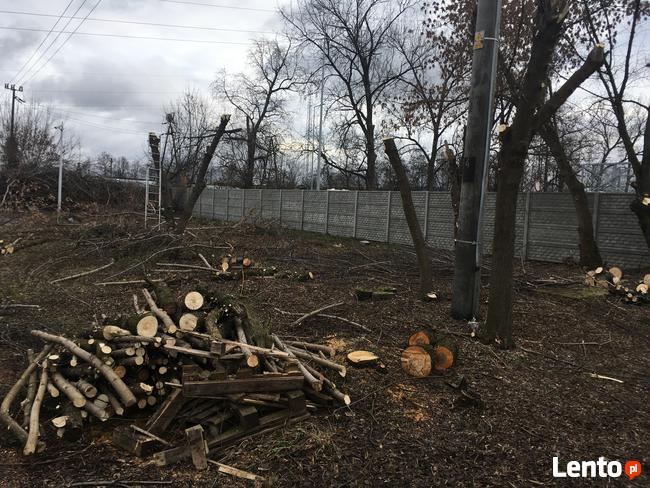 Pielęgnacja ogrodów koszenie i prace porzadkowe