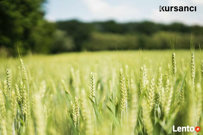 Doradztwo dotyczące środków ochrony roślin kurs