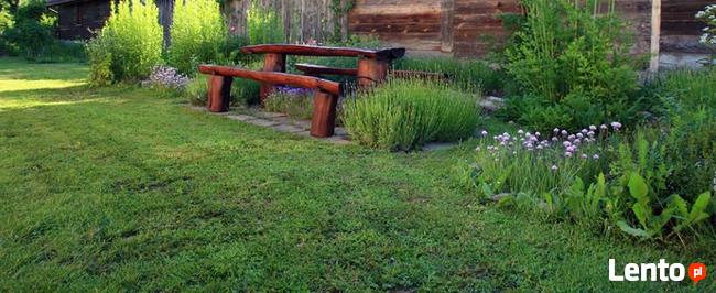 Dzialka w Bialowiezy