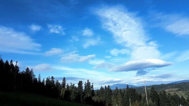 agroturystyka spytkowice~~zapraszamy !!!