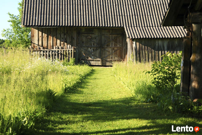 Dzialka w Bialowiezy