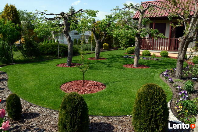 OGRODNIK jesienne Odnawianie ogrodu Trawnik