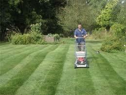 OGRODNIK jesienne Odnawianie ogrodu Trawnik