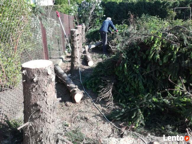 OGRODNIK jesienne Odnawianie ogrodu Trawnik