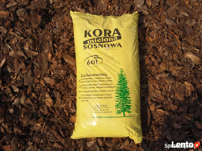 Ziemia ogrodowa kora sosnowa Wycinka drzew Warszawa