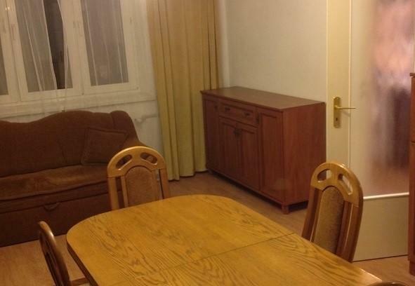 KAWALERKA NA WOLI Z WDNĄ KUCHNIĄ