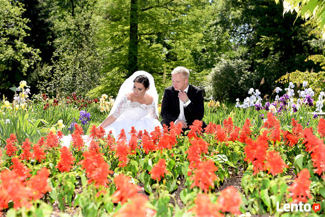 Fotografia Filmowanie Wesel Kraków - Alternatywa