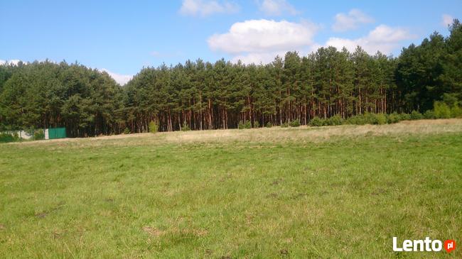 Sprzedam działki Budowlane - Chełm Żarski