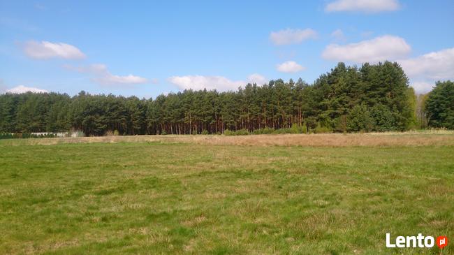 Sprzedam działki Budowlane - Chełm Żarski