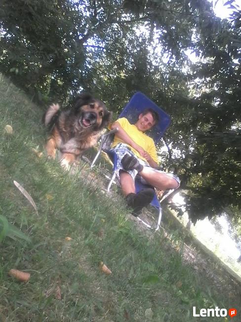 pragne poznac dziewczyne na stałe w wieku miedzy 20 a 35 rok