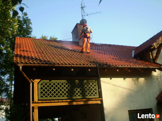 Mycie elewacji i dachu