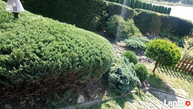 Kompleksowe prace ogrodnicze, pielęgnacja ogrodów,