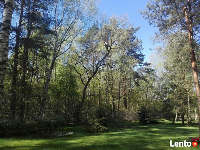 Alpinistyczna Wycinka Drzew -Usługi Ogrodnicze