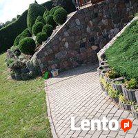 Kompleksowe prace ogrodnicze, pielęgnacja ogrodów,