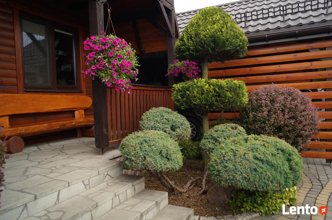 Formowanie i przycinanie drzew i krzewów, spirale, bonsai