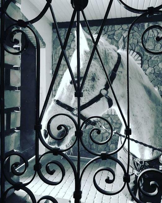 Kamień, łupek elewacyjny do 4 cm, elewacje, podmurówki