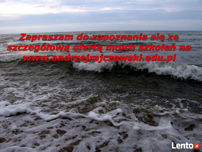 zwyciężaj przemawiając - ekspresowy mistrz agitacji