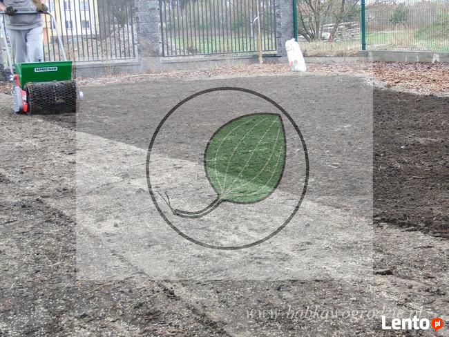 wypożyczalnia - siewnik do trawy