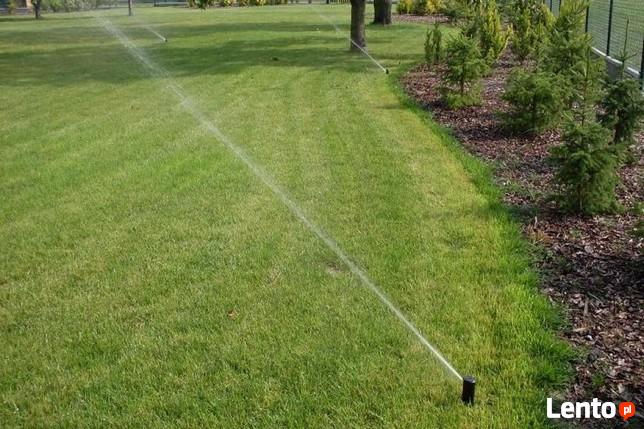 Trawniki, systemy nawadniania, cięcia ozdobne iglaków