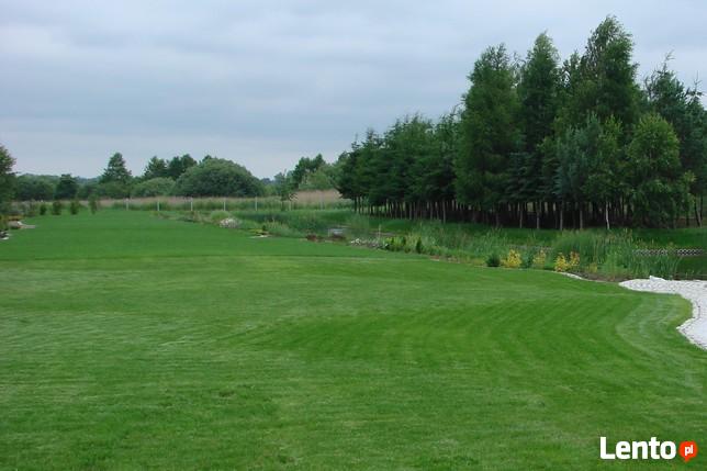 Trawniki, systemy nawadniania, cięcia ozdobne iglaków