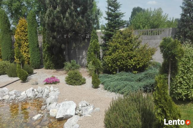 Projektowanie, urządzanie oraz pielęgnacja ogrodów i terenów