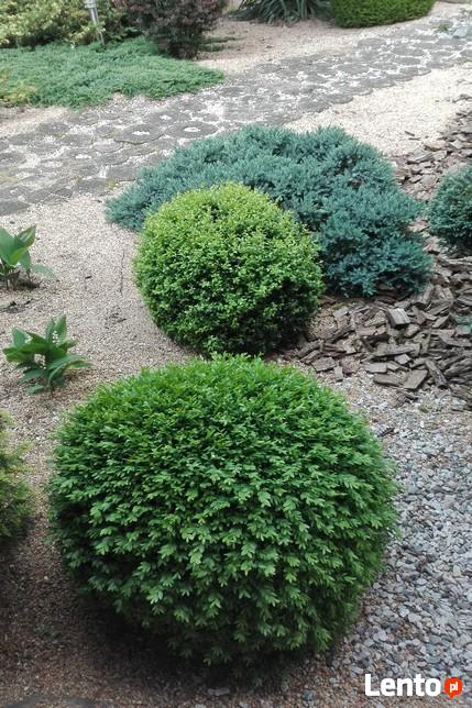 Projektowanie, urządzanie oraz pielęgnacja ogrodów i terenów