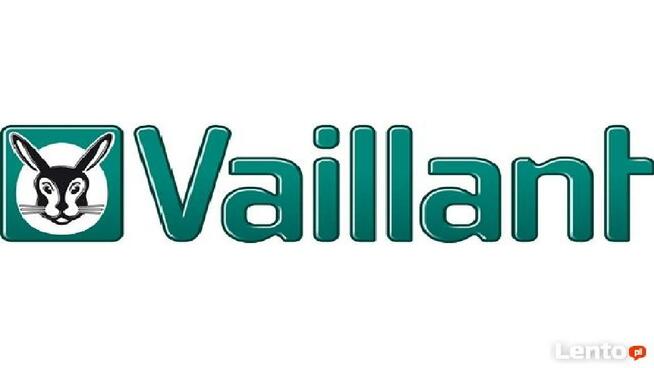 PIECYKI GAZOWE - MONTAŻ / SERWIS