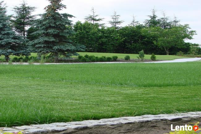 Projektowanie, urządzanie oraz pielęgnacja ogrodów i terenów