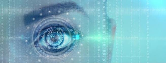 Detektyw Warszawa, Detektyw Bernadetta, Piotr i Daniel