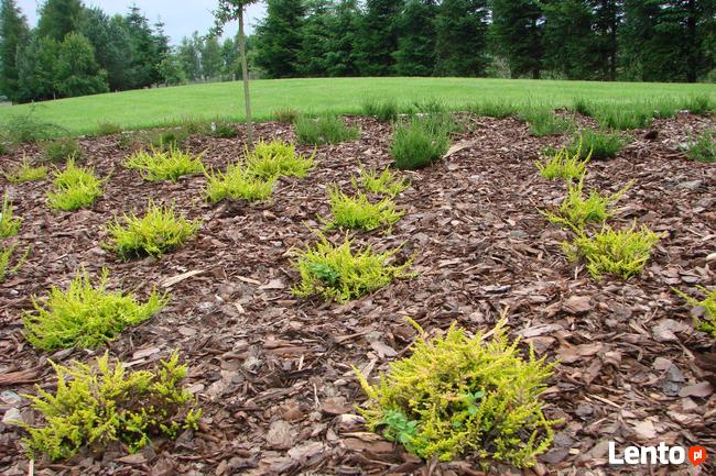 Projektowanie, urządzanie oraz pielęgnacja ogrodów i terenów