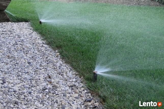 Trawniki, systemy nawadniania, cięcia ozdobne iglaków