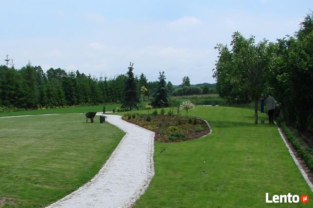 Trawniki, systemy nawadniania, cięcia ozdobne iglaków