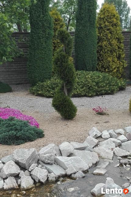 Trawniki, systemy nawadniania, cięcia ozdobne iglaków