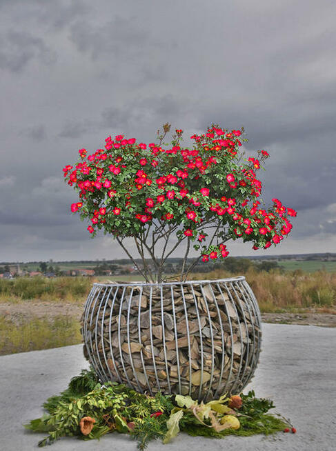 kora łupkowa, kora ozdobna TANIO, łupek, kruszywo