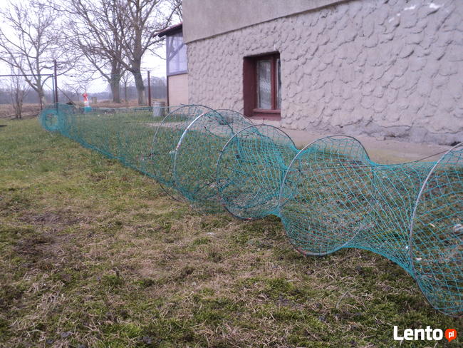 Żak na węgorza ryby mieroż wonton przestawa włok