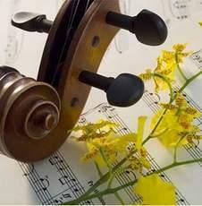 Serwis gitar i ukulele