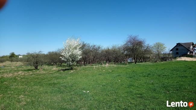 Działka rolna 2 ha Łąg/k. Czerska