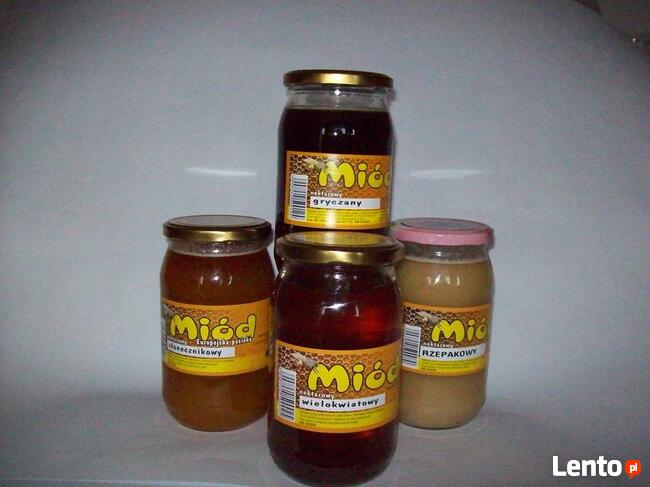 Miód dla pszczelarzy, odbiorców hurtowych. Polski 100%. HURT