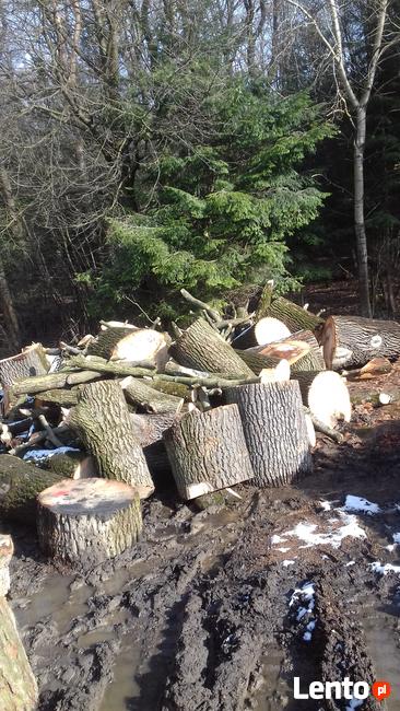 drewno opałowe