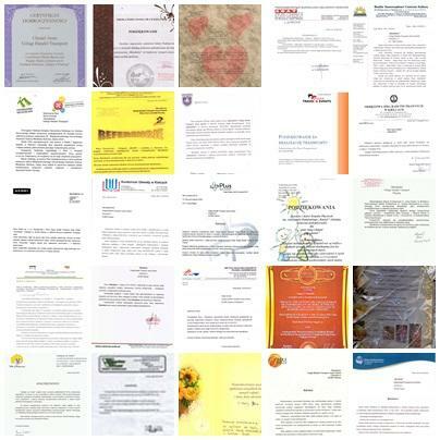 Autobus autokar bus wynajem na wesele