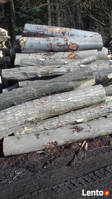 drewno opałowe