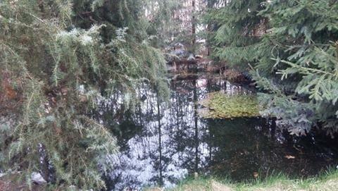 Sprzedam dom na wsi w Starym Strączu gmina Sława