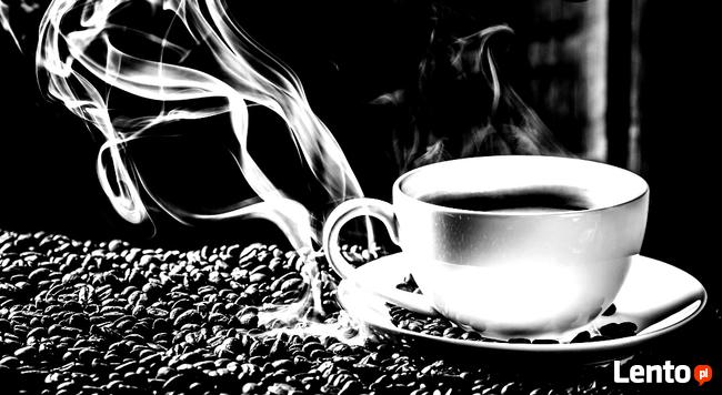 naprawa Ekspresów , Telewizorów , pralek , suszarek Olsztyn