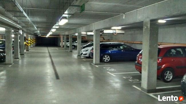 Do wynajęcia miejsce parkingowe w hali garażowej