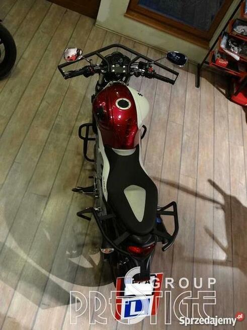 Gmole do nauki jazdy Klatka ochronna Suzuki Gladius