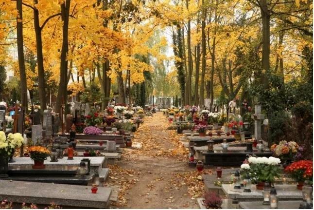 Sprzątanie czyszczenie nagrobków opieka grobów Poznań