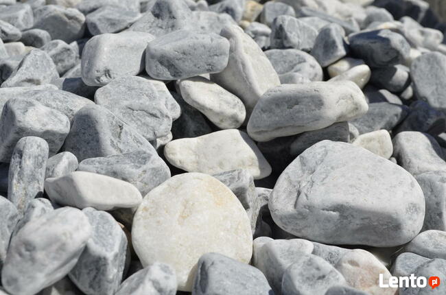 OTOCZAK BIAŁO-NIEBIESKI POLSKI NATURALNY 3-6CM