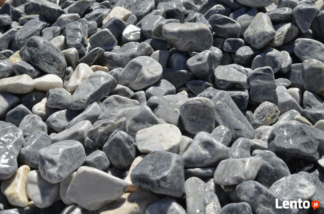 OTOCZAK BIAŁO-NIEBIESKI POLSKI NATURALNY 3-6CM