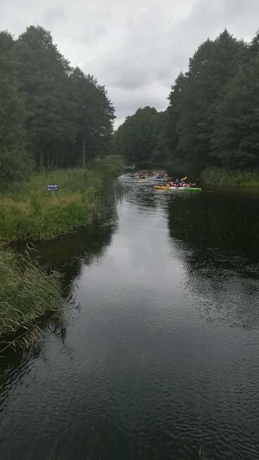 Kajaki Krutynia Spływ kajakowy